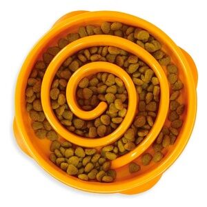 Outward Hound Dog Feeder